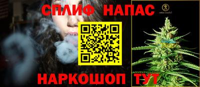 шишки Сланцы
