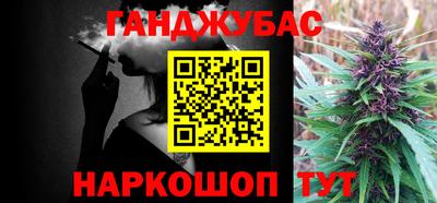 шишки Сланцы