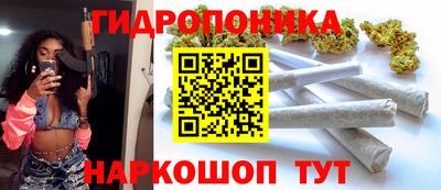 шишки Сланцы