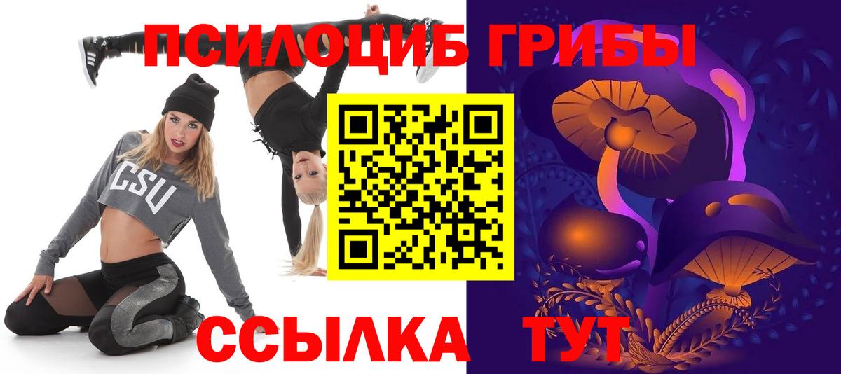 Прокопьевск  Псилоцибиновые грибы Cubensis  где найти   Вход с VPN 