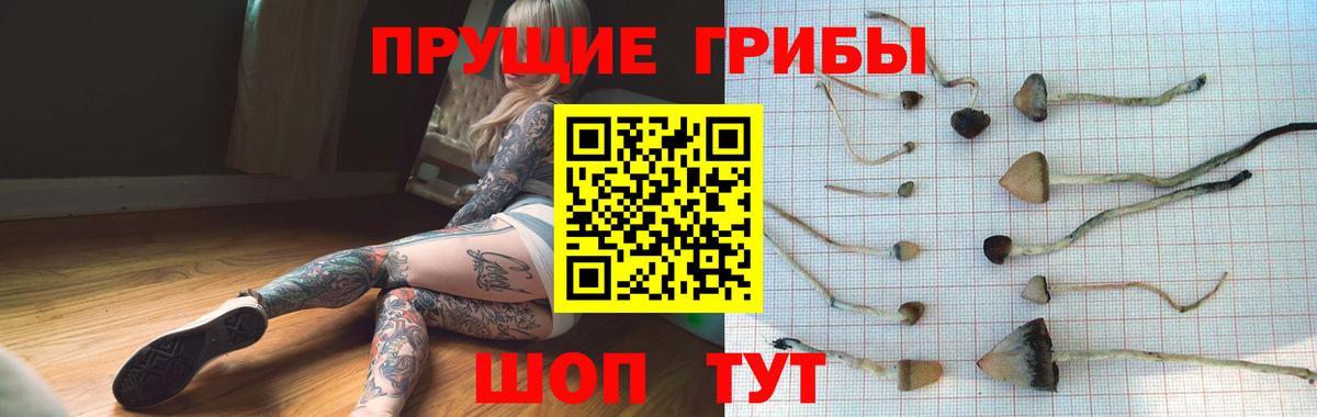 Псилоцибиновые грибы мицелий Прокопьевск